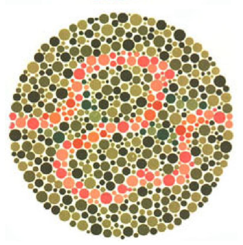 Plaka 36: Normal görüşlüler mor ve turuncu bir çizgi görürler, kırmızı-yeşil renk görüşü yetersizliği olanlar sadece mavi-yeşil ve mor çizgi görürler.