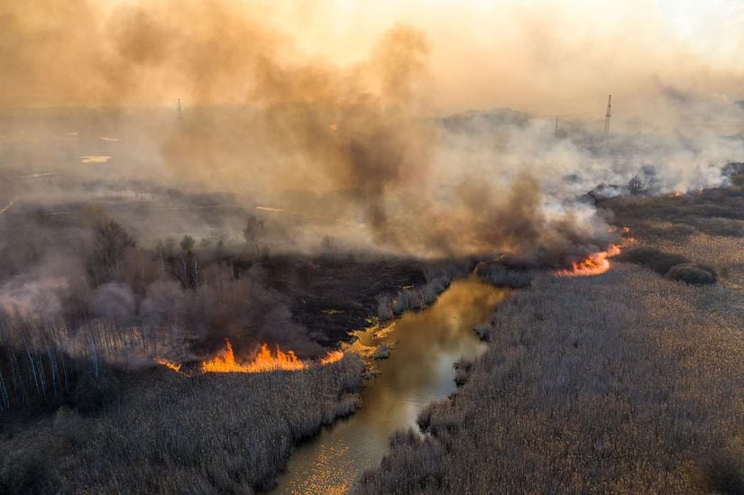 2020'de Çernobil yasak bölgesinde meydana gelen bu yangında olduğu gibi orman yangınları, yanan malzemelerde hapsolmuş radyoaktif parçacıkları serbest bırakabilir.
