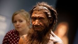 Neandertallerden Daha Zeki Değildik; Sadece Yok Oluşa Daha Uzun Süre Direnebildik!