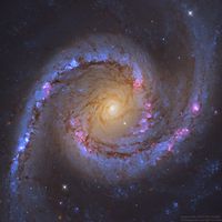  NGC 1566: The Spanish Dancer Spiral Galaxy 