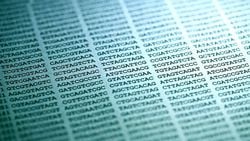 Genomik Dilin Karmaşık Gramer Yapısı: İnsan Genomundaki 3 Milyar Nükleotiti Nasıl Okumalıyız?