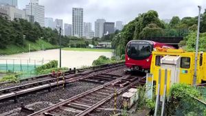 Tokyo Metro Plans Record IPO Amid Market Recovery