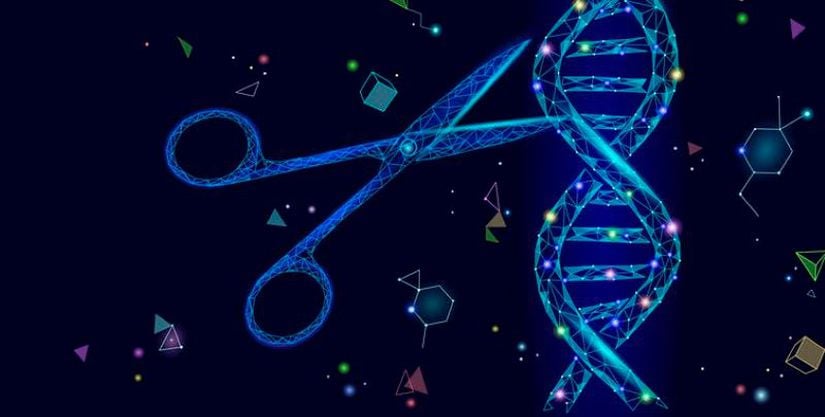 CRISPR bilim insanlarının genetik materyalleri düzenlemesini ve organizmaları işlemesini sağlar.
