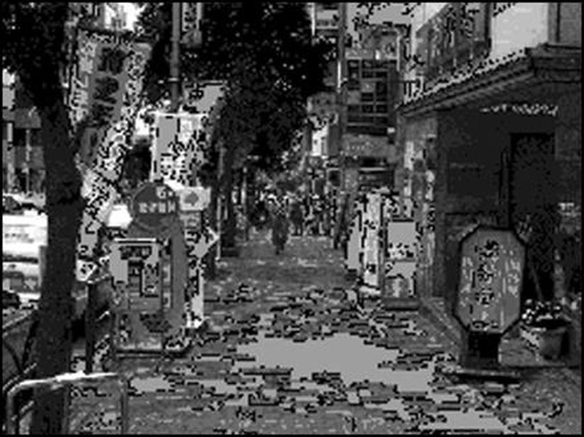 Görsel 12. Nesnelerin sayısını değerlendirme amacıyla, Japonya’dan bir sokak sahnesinin bilgisayarda işlenmiş şematizasyonu