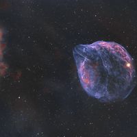  Sh2-308: A Dolphin Shaped Star Bubble 