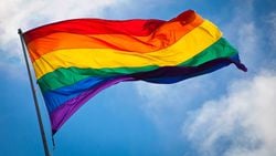 Eşcinsellik ve Evrim: Eşcinsellik Nedir? Eşcinseller Evrimsel Süreçte Neden Elenmedi?