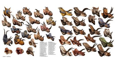 Ceratopsia: Boynuz Kafalı Dinozorlar ve Evrimleri