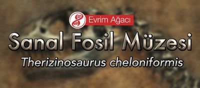 Therizinosaurus cheloniformis (Kılıç Tırnaklı)