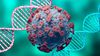 SARS-CoV-2 İnsan Hücrelerine Nasıl Giriyor? Kendini Nasıl Kopyalıyor? Delta Varyantı Bağışıklık Sistemini Nasıl Atlatabiliyor?