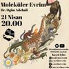 Moleküler Evrim | Dr. Ogün Adebali | 21 Nisan 20.00 | Avcılar Evrim Atölyesi