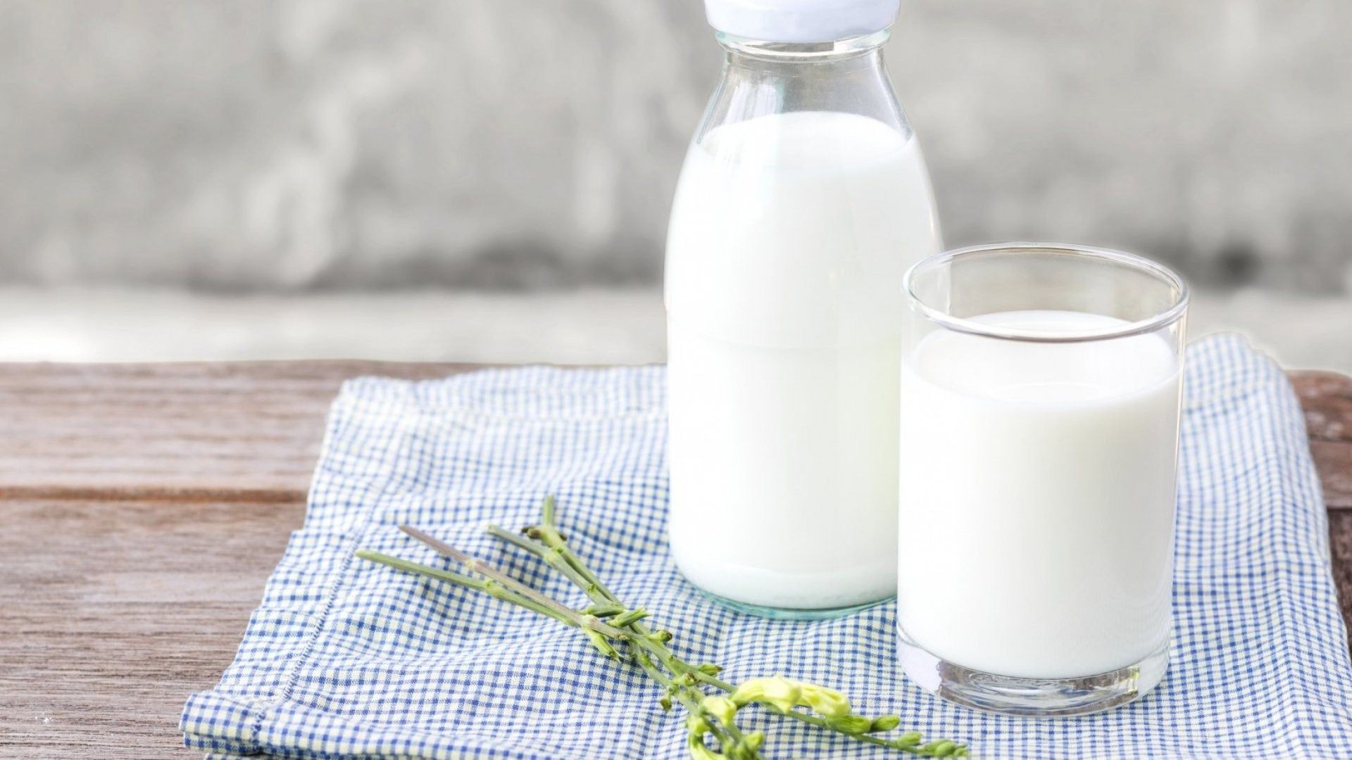 Pastörizasyon Nedir, Nasıl Yapılır? Süt Kaynaklı Enfeksiyonları Nasıl  Önleyebiliriz? - Evrim Ağacı
