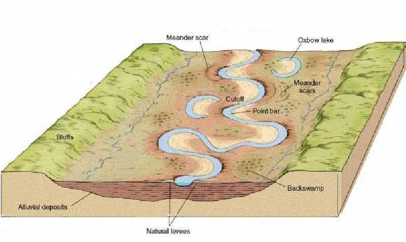 Backswamp bataklık anlamındadır. Meander scars, daha önceki zamanlarda menderesin aktığı yeri temsil etmektedir. Görselin her iki tarafında yazan kaş, anakayadan müteşekkil bir çıkıntıdır. Su bölümü çizgisine denk geldiği için iki komşu akarsuyu birbirinden ayırmaktadır.