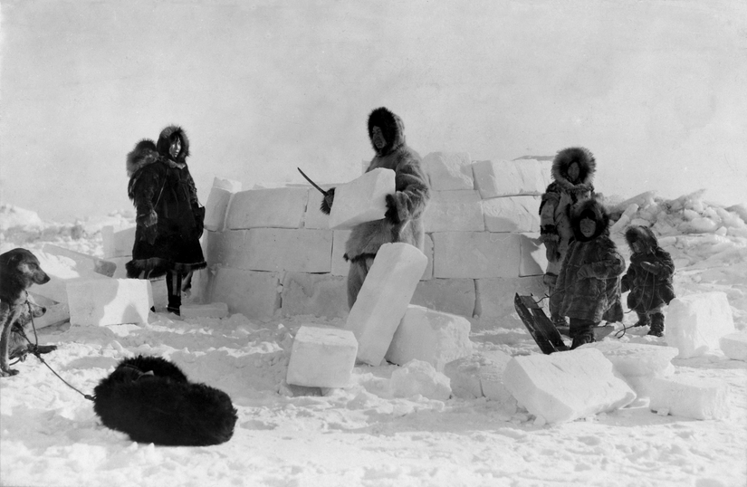 Bir iglo inşa eden Inuitler