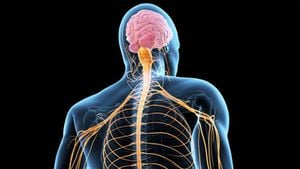 Amyotrofik Lateral Skleroz (ALS) Nedir? Motor Nöron Hastalığı Tedavi Edilebilir mi?