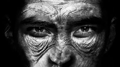 İnsan-Şempanze Melezleri Yapma Zamanı Geldi! CRISPR Kullanarak İnsanze veya Şempansan Üretebilir miyiz?