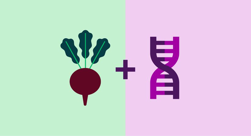 Beslenme ile genetik bilim dallarını birleştiren bilim dalı ''Nutrigenetik''dir.