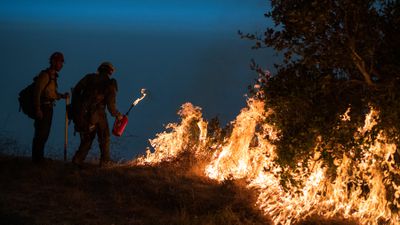Kontrollü Yangın ve Karşı Ateş Tekniği: Uzmanlar Neden Bilerek Yangın Çıkarırlar ve Bu, Bazı Ormanlar ve Yangınlar İçin Neden Faydalıdır?