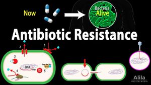 Environmental Contamination Fuels Antibiotic Resistance Crisis