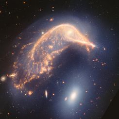 Arp 142: Interacting Galaxies from Webb