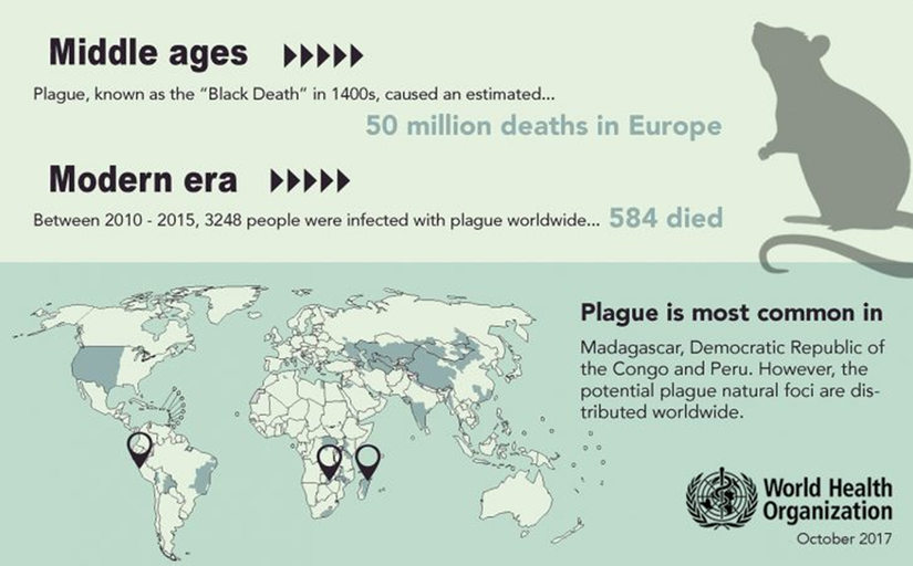 Orta Çağ Zamanları: 1400'ler de ''Kara Ölüm'' olarak bilinen veba, Avrupa'da 50-200 milyon kişinin ölüme neden oldu. Modern Zamanlarda:  Dünya çapında 2010-2015 yılları arasında 3248 kişiye bulaşmış, 584 kişi ölmüştür. Veba; Madagaskar, DRC, Peru'da daha fazla görülür.