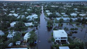 Hurricane Milton Fuels Misinformation Storm