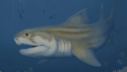 Alabama ve Kentucky'de Üç Yeni Antik Köpekbalığı Türü Keşfedildi!