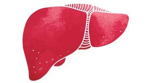 Hayvanlarda Organ Yenileme (Rejenerasyon): Karaciğerin %75'i Hasar Görse Bile Kendini Yenileyebilir mi?