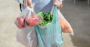 California Readdresses Plastic Bag Ban For Greater Impact