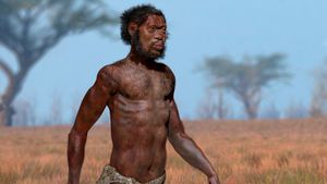 Antik İnsan Popülasyonları Arasında Bilinen İlk Çiftleşme Kanıtı!