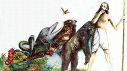 Evrim ile mutasyon arasındaki fark nedir?