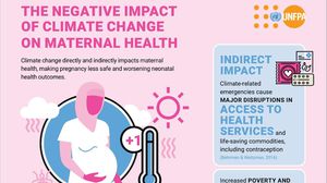 Maternal Health Issues Linked To Child Development Risks