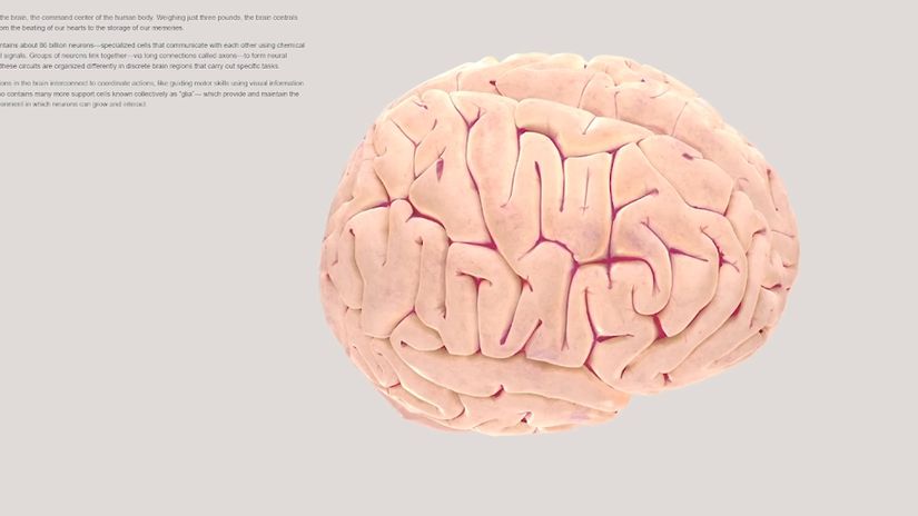 Brain Test Seviye 198 Hepsinin Biraz Isınmaya İhtiyacı Var Cevapları