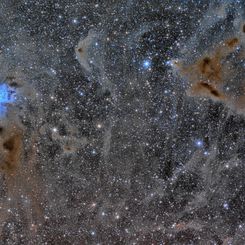  The Iris Nebula in a Field of Dust 