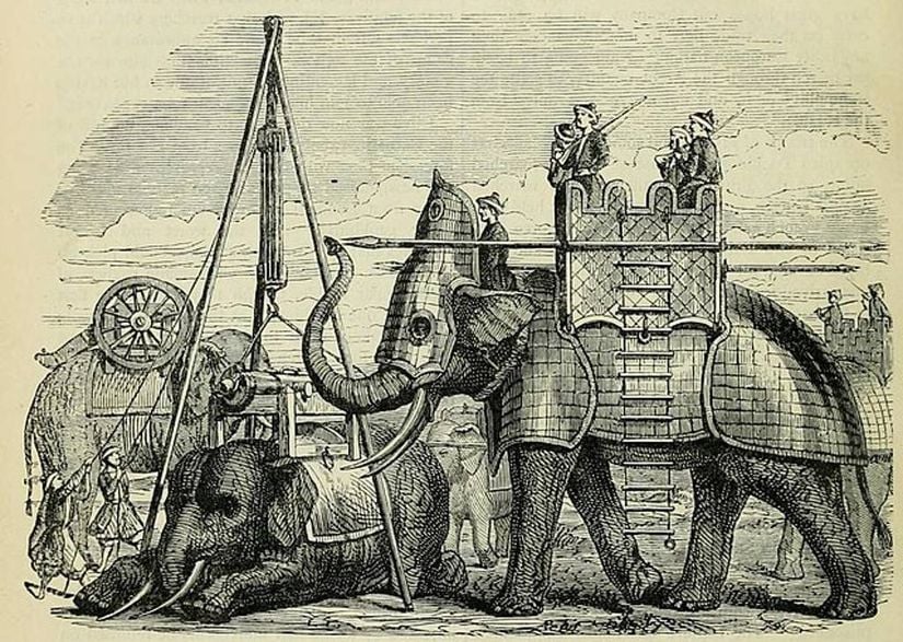 Zırhlanmış bir fil ve üstüne yerleştirilmiş savaşçılar.