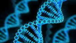 DNA Mikroapsülleri.
USP Belleklerin Yerini DNA Alabilir Mi?