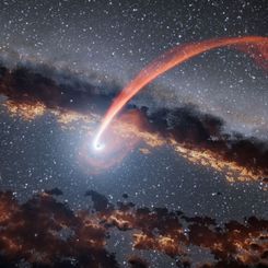  A Black Hole Disrupts a Passing Star 