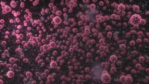 SARS-CoV-2 Artık Çok Daha Hızlı Evrimleşiyor ve Bu, Salgınla İlgili En Büyük Problem: Virüs, İnsan Toplumunda Kalıcı Hale Gelebilir!
