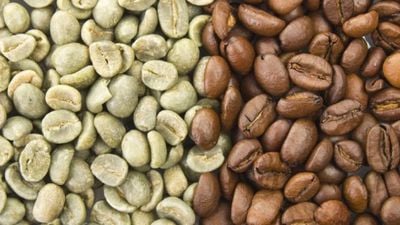 Kahve Genomu, Kafeinin Evrimine Işık Tutuyor!
