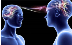 Yaşamsal fonksiyonları  çalışan  iki  insanın  beyni transfer edilirse o iki insana ne olur?