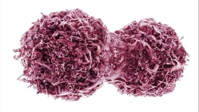 Kanser Biyolojisi: Tümör Tetikleyiciler ve Tümör Baskılayıcılar