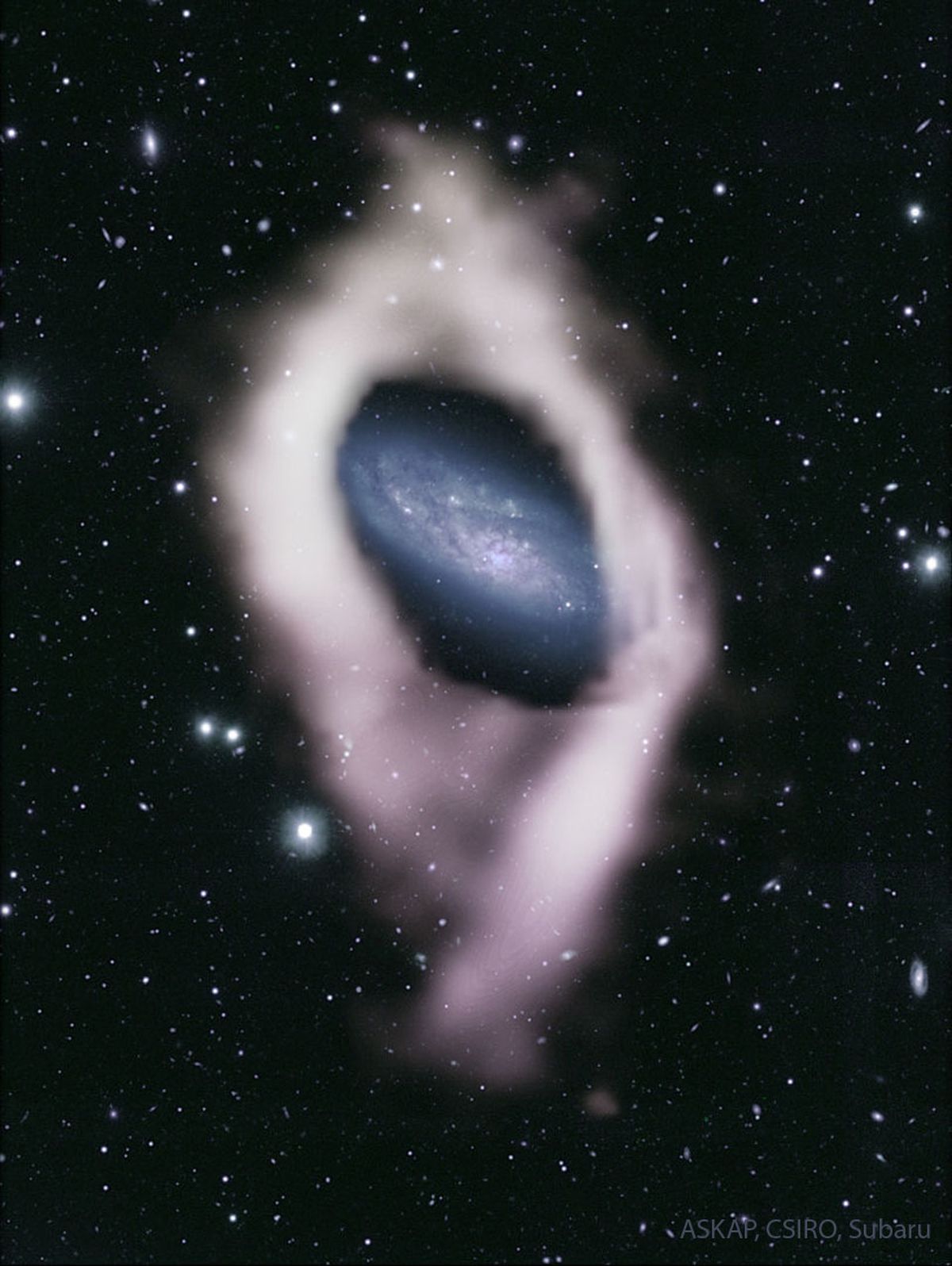 NGC 4632: Gizli Kutup Halkalı Gökada