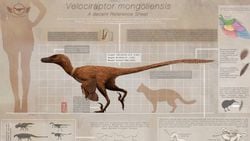 Velociraptor: Jurassic Park'ın Meşhur Dinozoru Gerçekte Neye Benziyordu, Sesi Nasıldı?