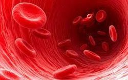 Sıfır negatif kan grubun özelliklerini nelerdir?