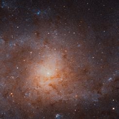  The Stars of the Triangulum Galaxy 