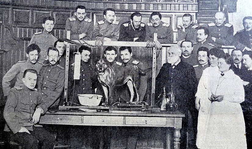 Pavlov'un Saint Petersburg'daki Laboratuvarı