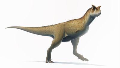 Carnotaurus: Kretase Dönemi’nin Boynuzlu Yırtıcısı