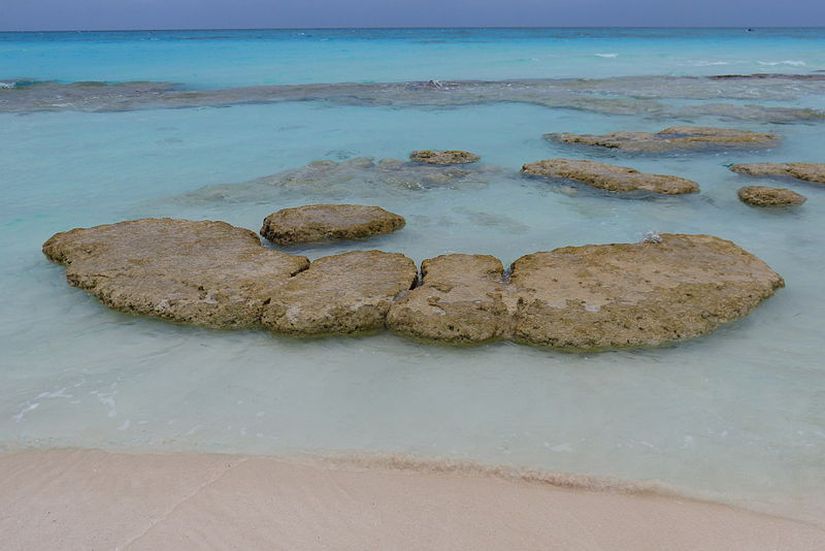 Bahamalar, Exumas'taki Highborne Cay içinde bulunan stromatolitler.