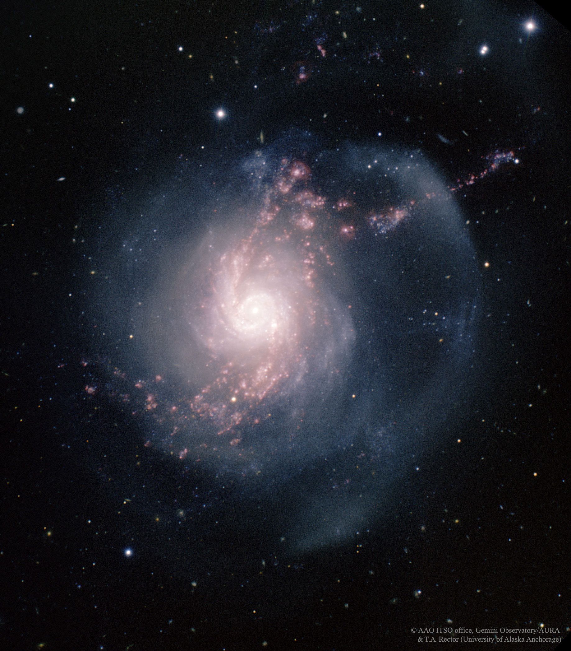  NGC 3310: A Starburst Spiral Galaxy 