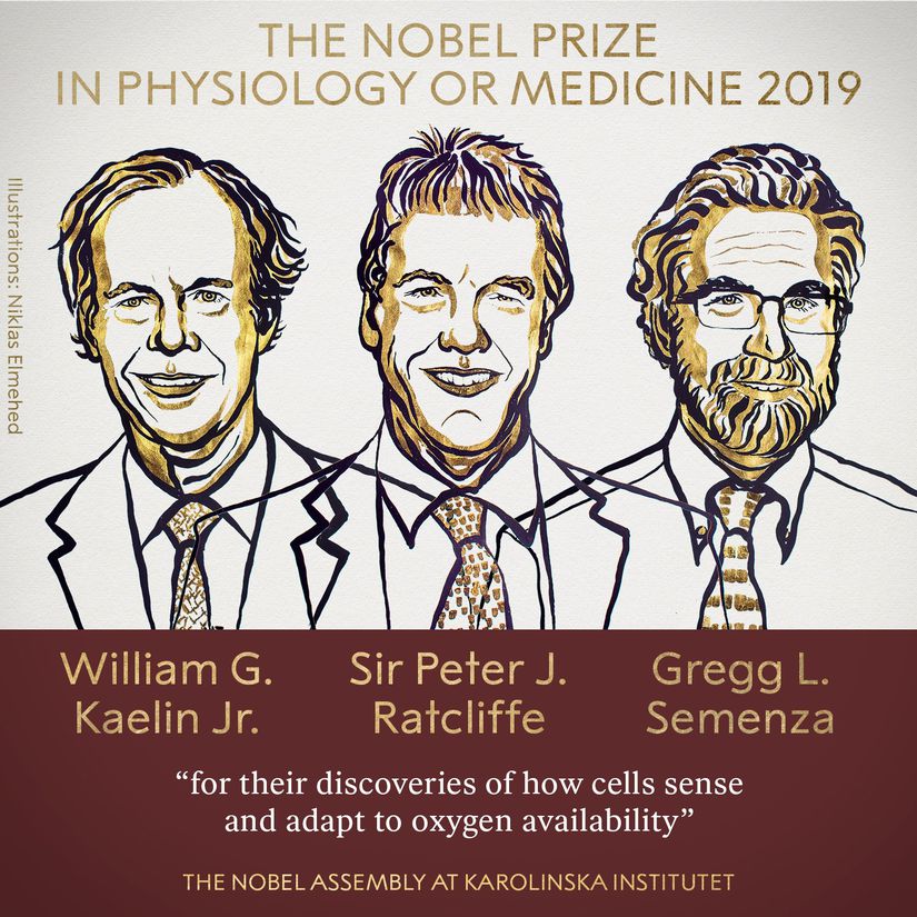 2019 Nobel Fizyoloji ve Tıp Ödülü sahipleri.
