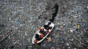 Innovative Solutions To Combat Ocean Plastic Pollution